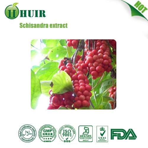 Schisandrin berry P_E_ schisandra chinensis extract powder